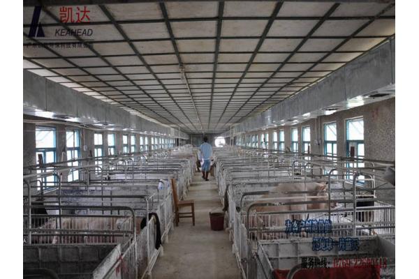 养猪场养殖废水处理案例